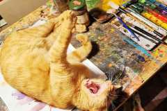 Katze im Atelier